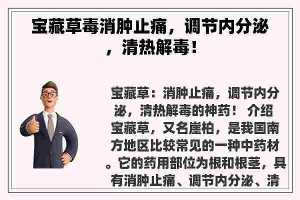 宝藏草毒消肿止痛，调节内分泌，清热解毒！